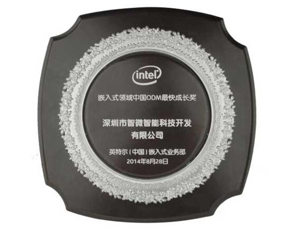 Intel Fastest Growing Award In China Market